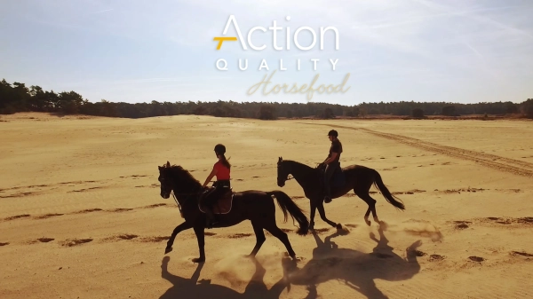 Action Quality Horsefood
